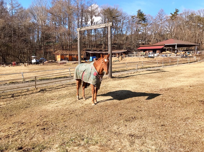 フクキタル発見