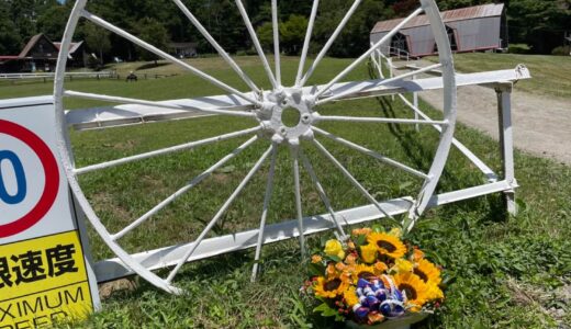 マチカネフクキタルの三回忌